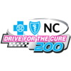 Drive for the Cure 250
